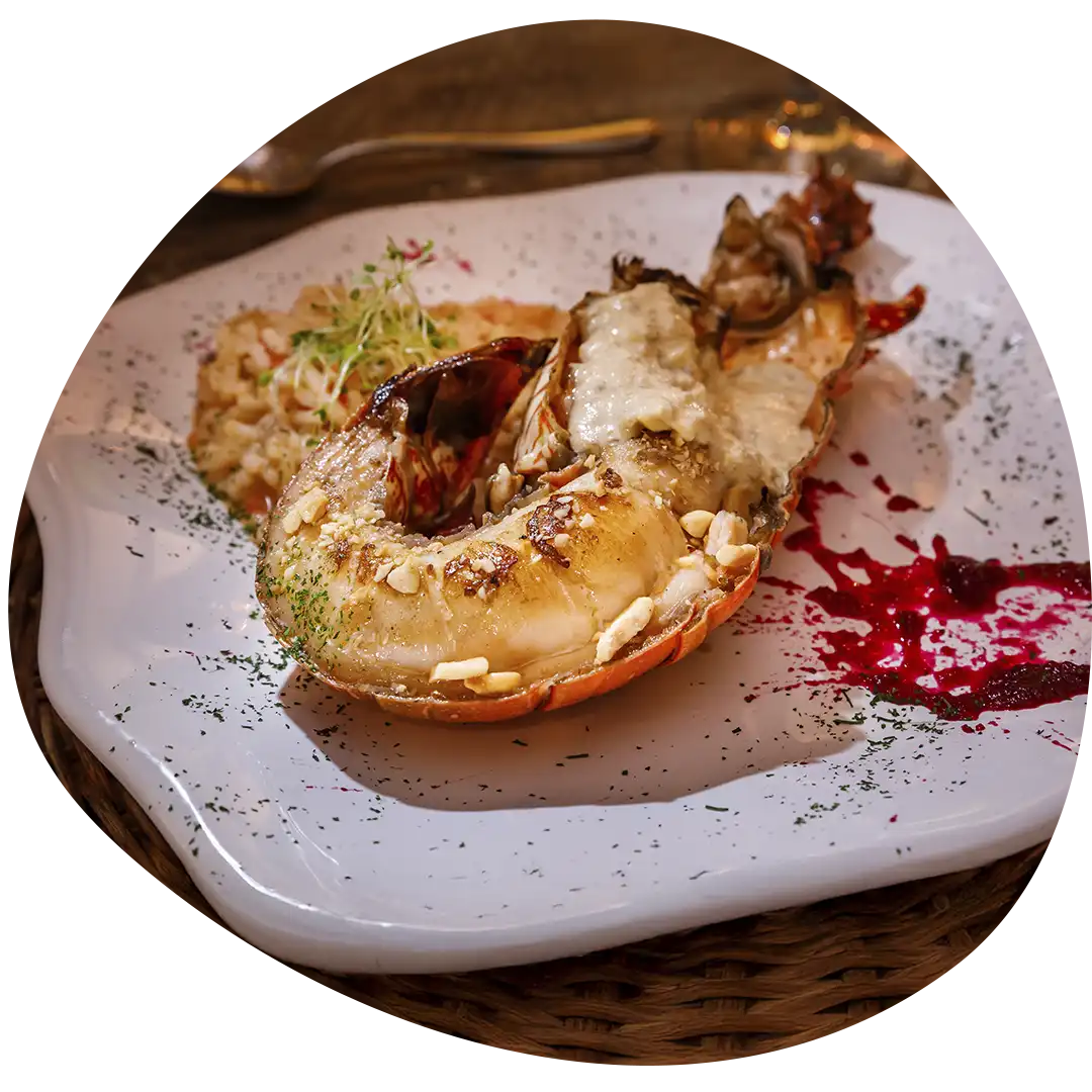 Mágico Maurício Dollenz